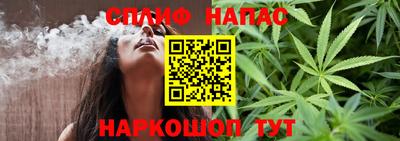 индика Краснознаменск