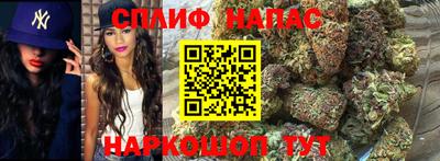 мдпв Краснодар
