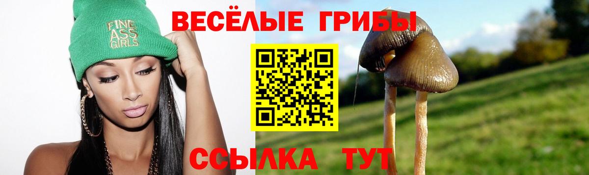 Калуга  Псилоцибиновые грибы Cubensis  Вход с VPN  Псилоцибиновые грибы Magic Shrooms 